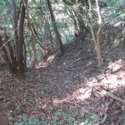 主郭付近a　竪堀