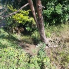 水堀は折れて北へと向かうが，細くなる…