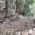 本丸背後の竪堀