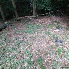 茶席跡(空が急に暗くなりました…)