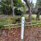 本丸内にある菖蒲池