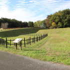 二・三の曲輪間の広大な空堀