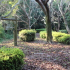 南端にある本丸を北より南へ見る