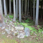 上段内部の仕切石垣と内部