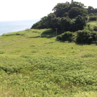 東海岸側に蓮池跡辺り