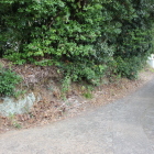 同左の裏側の腰巻石垣と土塁