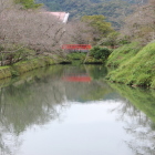 内濠と本丸への赤い橋