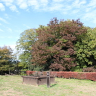 二の曲輪神社の杜紅葉とすじ雲