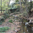 内堀の役目深沢川とやや色付いた林間