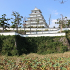 本丸南高石垣と南濠、天守閣