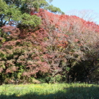 同左を南の丸Ⅰより見る