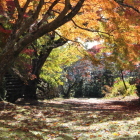 本丸より大手門跡を見る