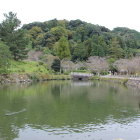 外濠越しの天守台跡の在る城山を望む