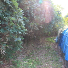 北と南を区切る空壕かな？