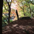 二の丸土塁上からの輝く紅葉