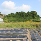 石碑西の空き地は城郭の名残を残してるのかも？