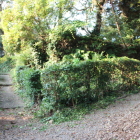 本丸への登城路