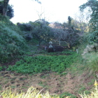 北西の虎口辺り