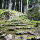 西虎口搦手裏門