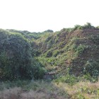 西方向から城域の土塁、曲輪、空堀を見る