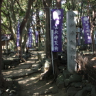 篠島城本曲輪全体、城山水神天狗の碑