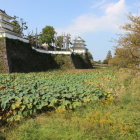 東側の濠を南から北へ