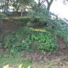 北西の虎口辺りの高土塁