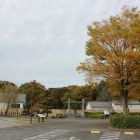 鉢形城歴史館と欅紅葉