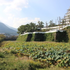 南側の濠を東から西へ