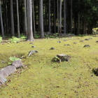 西から見た上段内部