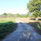 広大な本郭内部東から西へ