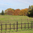 二の曲輪堀・土塁越しの紅葉