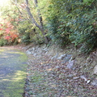 腰巻石垣辺りの紅葉