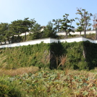 本丸南高石垣と南濠西側