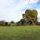 外曲輪土塁上の欅紅葉