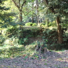 同左堀切を二の丸？から本丸を見る