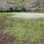 上段南下の広場曲輪？