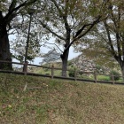 清水曲輪から見上げた天守