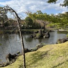 紅葉山庭園（荒磯）