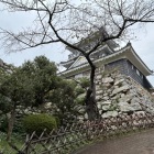 埋門から見上げた天守