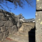 桜之門跡から覗く三重櫓