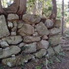 大土塁上の石垣