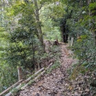 本丸への細尾根は危険なので侵入禁止