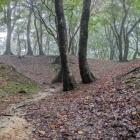 大手となる南虎口