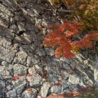 本丸東側の石垣