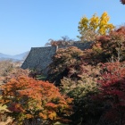 紅葉の向こうに石垣