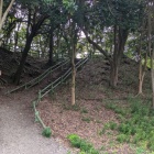 山科中央公園