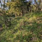 曲輪や土塁に見えるが