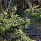 ⑧	テニスコート裏（木戸を開けここから登る）