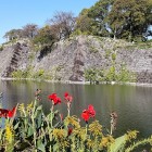 ①	堀から見た大天守と小天守（南西から）